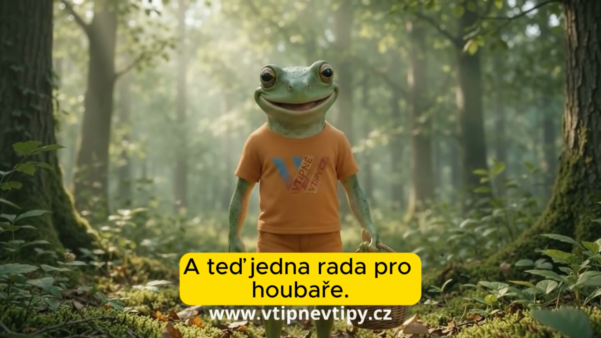 Vtipné vtipy - rada pro houbaře