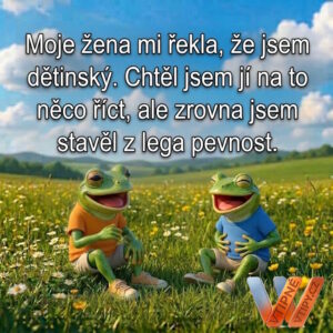 meme - dětinský