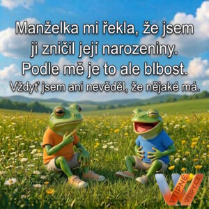 meme - narozeniny manželky